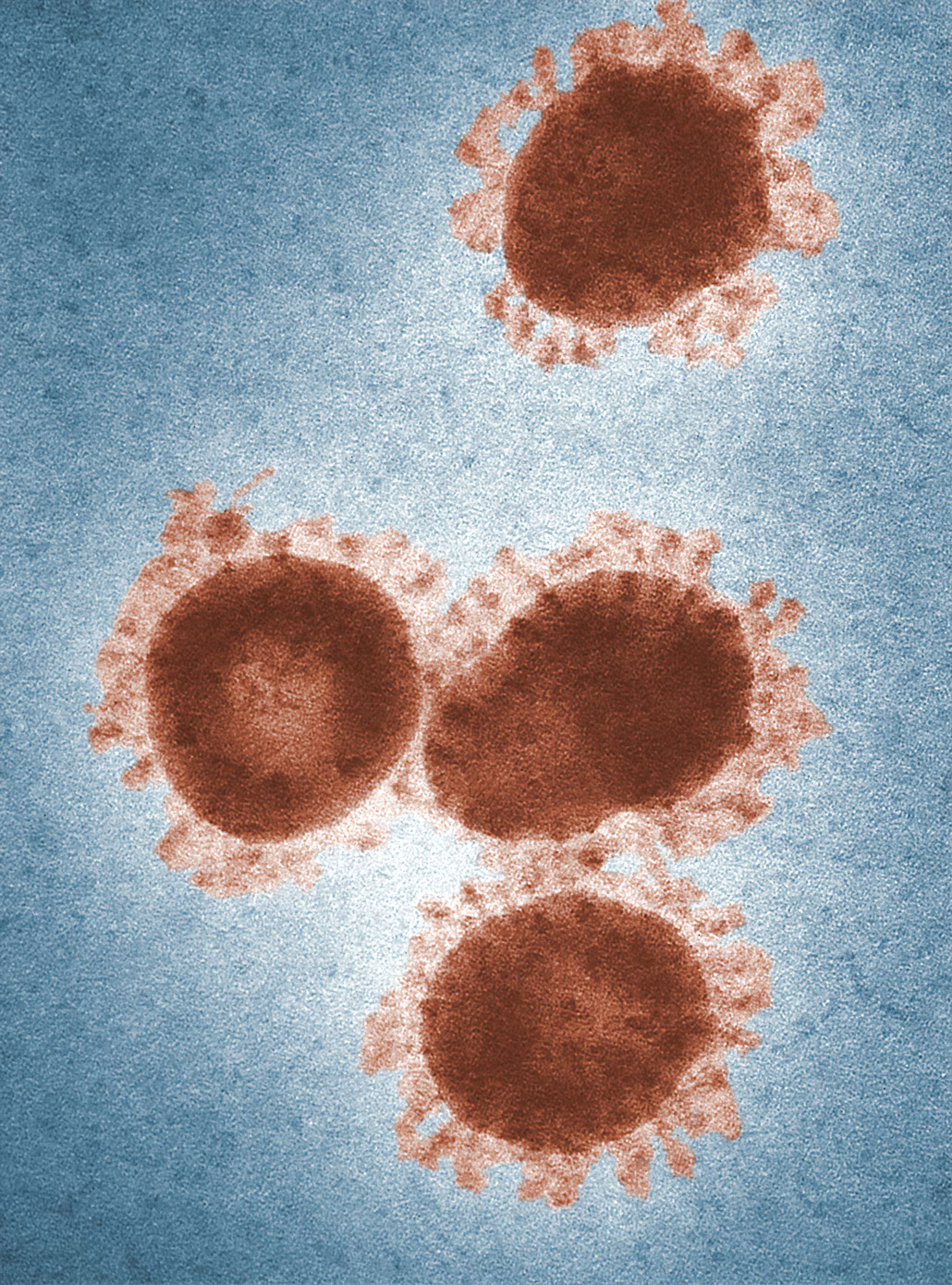 CAR Enhancers: A Novel Advance in CAR-T Cell Therapy